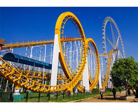 Buy Roller Coaster Ride