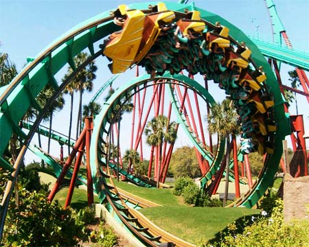 Roller Coaster Ride Buy