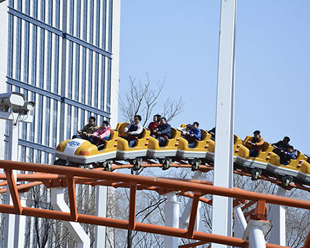 Roller Coaster Ride for sale