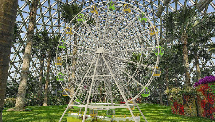 New design ferris wheel ride 